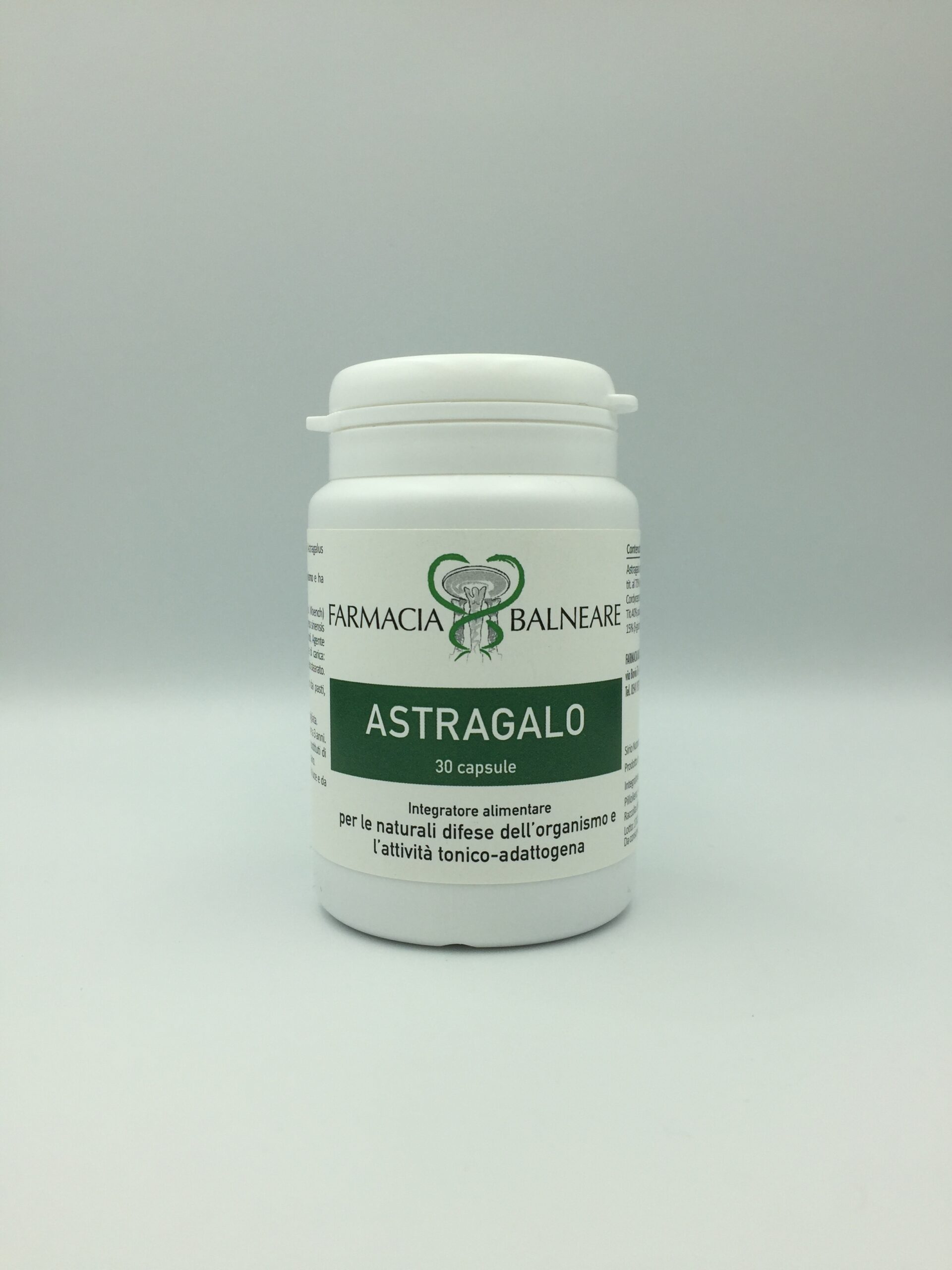 Astragalo